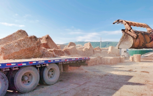 æ¹åï¼å´ç»â8个1âæ¨è¿ç§¸ç§ç»¼åå©ç¨